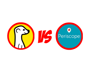 Meerkat or Periscope