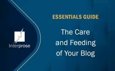 Essentials Guide to the Care and Feeding of Your Blog