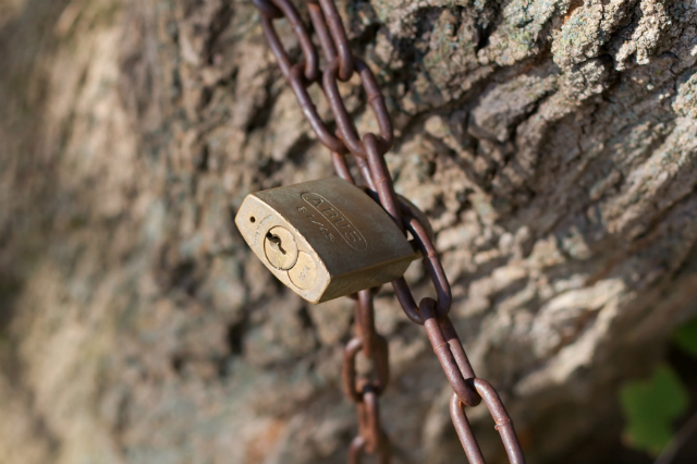 Protecting Your Brand Investment