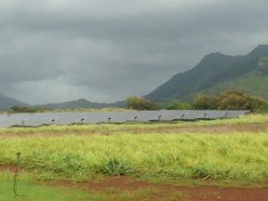 Hawaii's Anahola solar installation