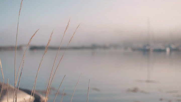 A Picture Is Worth A Thousand Words But Cinemagraphs Tell The Story